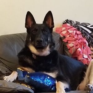 Meet your Posher, Robin